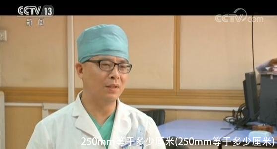 250mm等于多少厘米(250mm等于多少厘米)