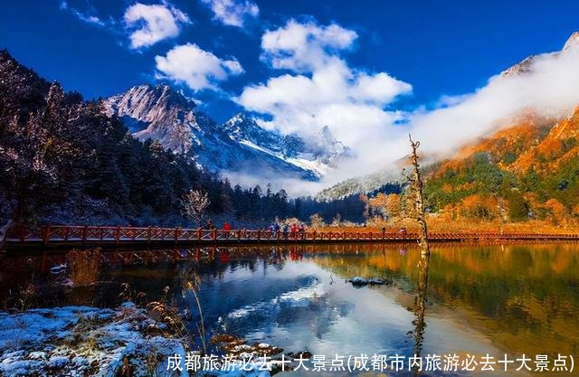 成都旅游必去十大景点(成都市内旅游必去十大景点)