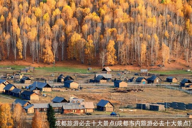 成都旅游必去十大景点(成都市内旅游必去十大景点)
