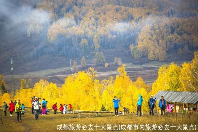 成都旅游必去十大景点(成都市内旅游必去十大景点)