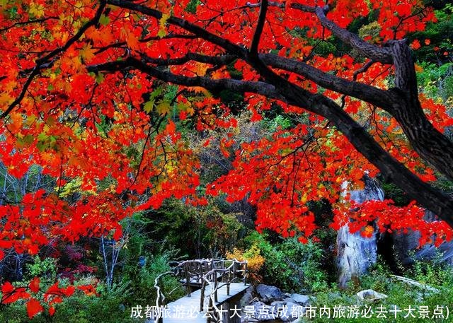 成都旅游必去十大景点(成都市内旅游必去十大景点)
