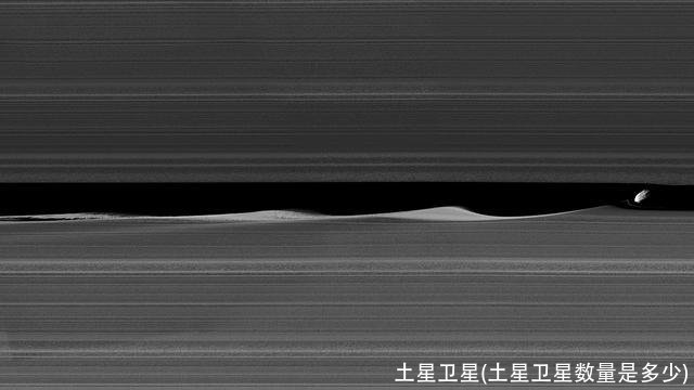 土星卫星(土星卫星数量是多少)