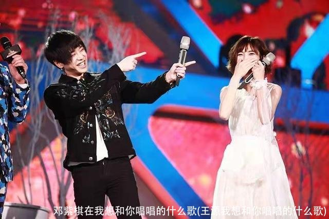 邓紫棋在我想和你唱唱的什么歌(王源我想和你唱唱的什么歌)