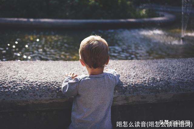 翊怎么读音(翊怎么读音组词)