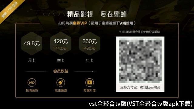 vst全聚合tv版(VST全聚合tv版apk下载)