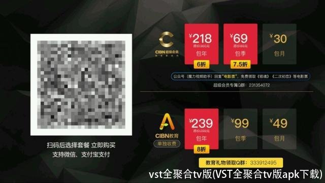 vst全聚合tv版(VST全聚合tv版apk下载)