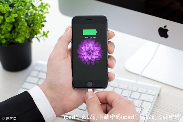 ipad怎么取消下载密码(ipad怎么取消安装密码)