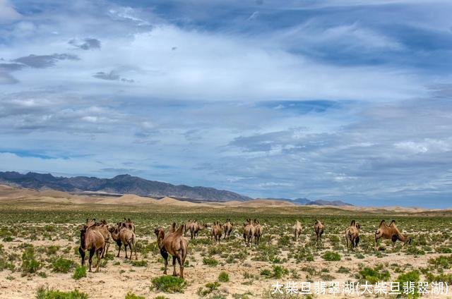 大柴旦翡翠湖(大柴旦翡翠湖)