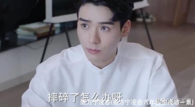 鹿方宁凌睿(鹿方宁凌睿六年后重逢哪一集)