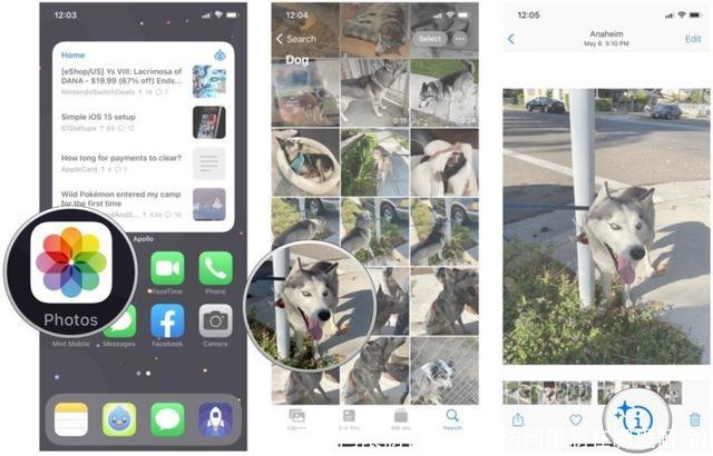 苹果访问限制在哪(苹果访问限制在哪里解除)