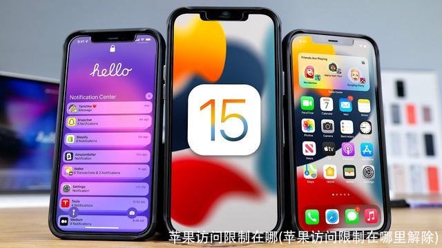 苹果访问限制在哪(苹果访问限制在哪里解除)