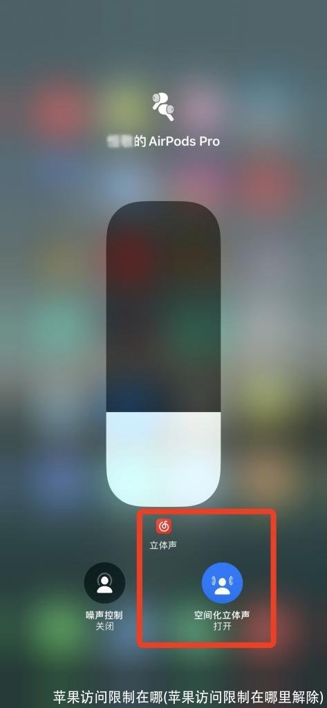 苹果访问限制在哪(苹果访问限制在哪里解除)
