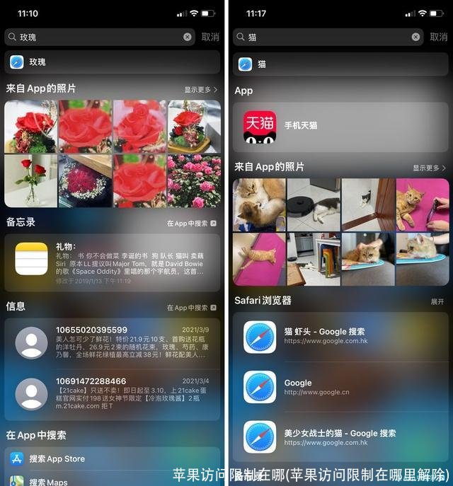 苹果访问限制在哪(苹果访问限制在哪里解除)