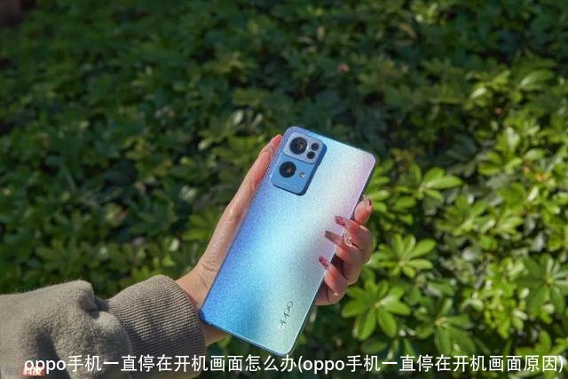 oppo手机一直停在开机画面怎么办(oppo手机一直停在开机画面原因)