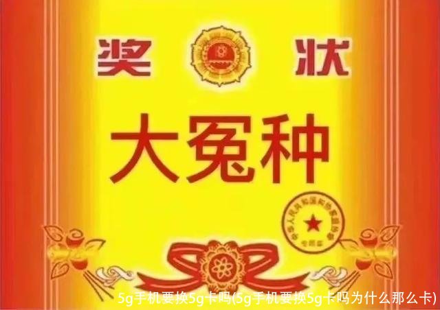 5g手机要换5g卡吗(5g手机要换5g卡吗为什么那么卡)