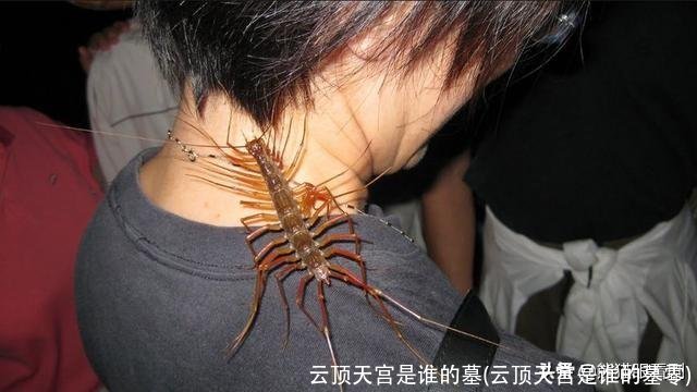 云顶天宫是谁的墓(云顶天宫是谁的墓零)