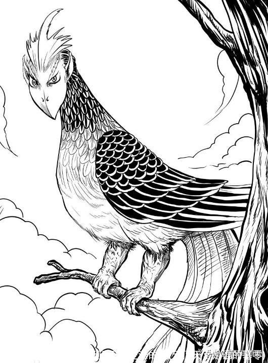 云顶天宫是谁的墓(云顶天宫是谁的墓零)