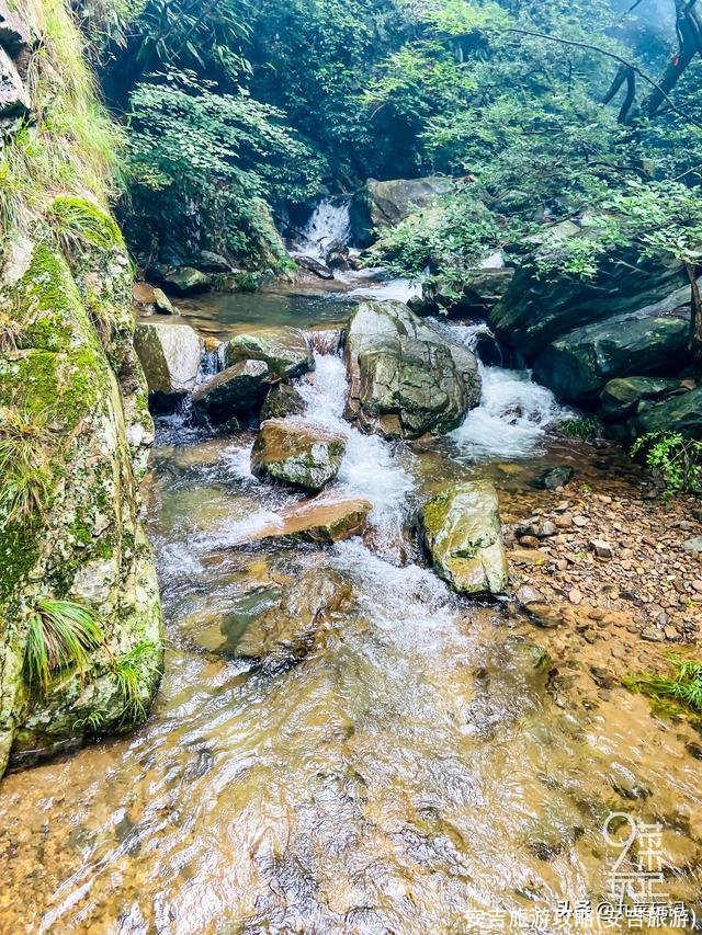 安吉旅游攻略(安吉旅游)