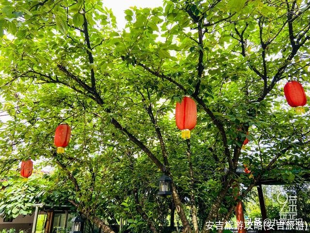 安吉旅游攻略(安吉旅游)