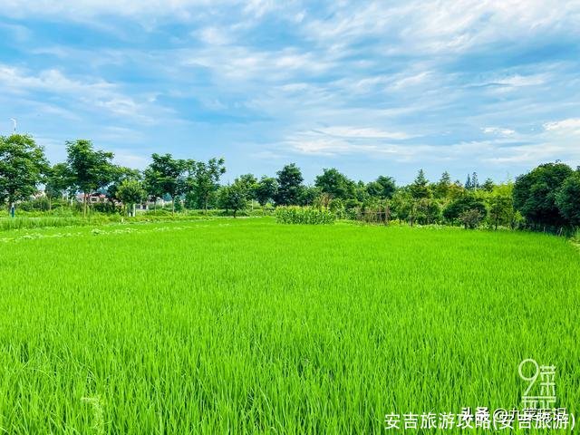 安吉旅游攻略(安吉旅游)