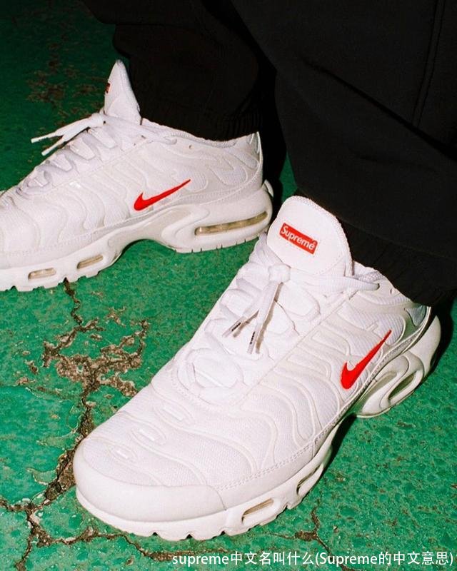 supreme中文名叫什么(Supreme的中文意思)