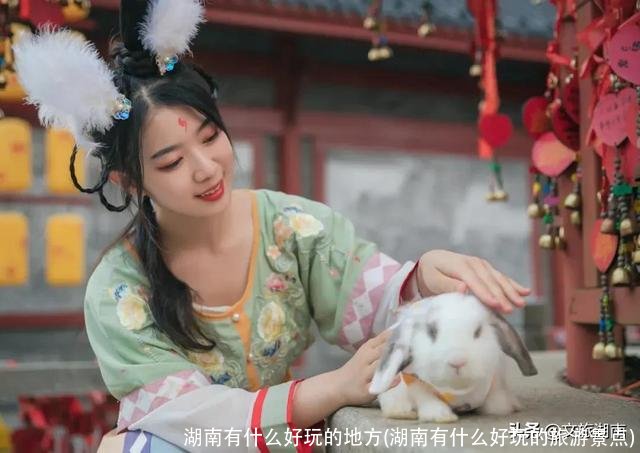湖南有什么好玩的地方(湖南有什么好玩的旅游景点)