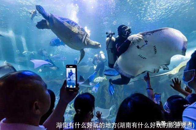 湖南有什么好玩的地方(湖南有什么好玩的旅游景点)