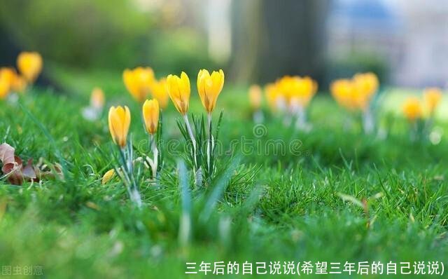 三年后的自己说说(希望三年后的自己说说)