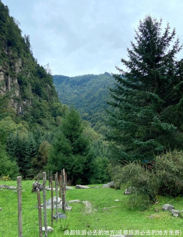 成都旅游必去的地方(成都旅游必去的地方免费)