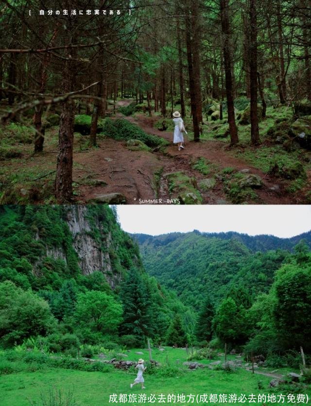 成都旅游必去的地方(成都旅游必去的地方免费)