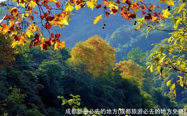成都旅游必去的地方(成都旅游必去的地方免费)