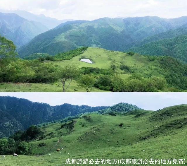 成都旅游必去的地方(成都旅游必去的地方免费)