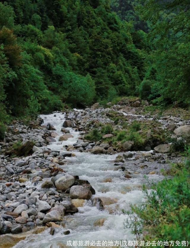成都旅游必去的地方(成都旅游必去的地方免费)