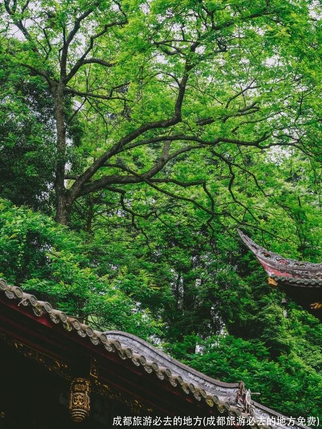 成都旅游必去的地方(成都旅游必去的地方免费)