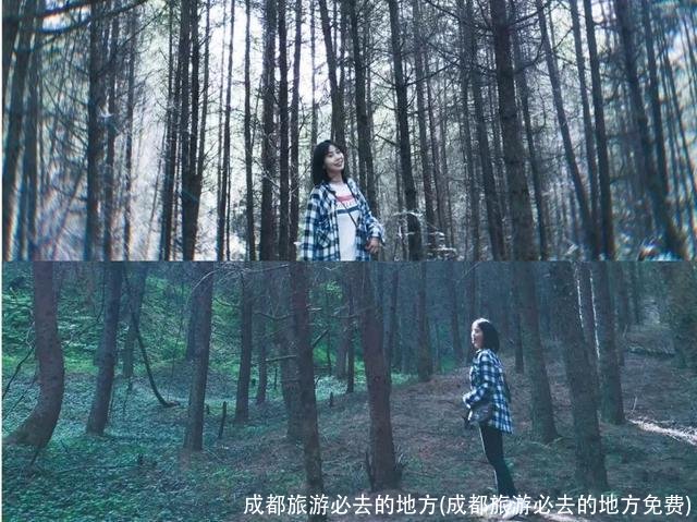 成都旅游必去的地方(成都旅游必去的地方免费)