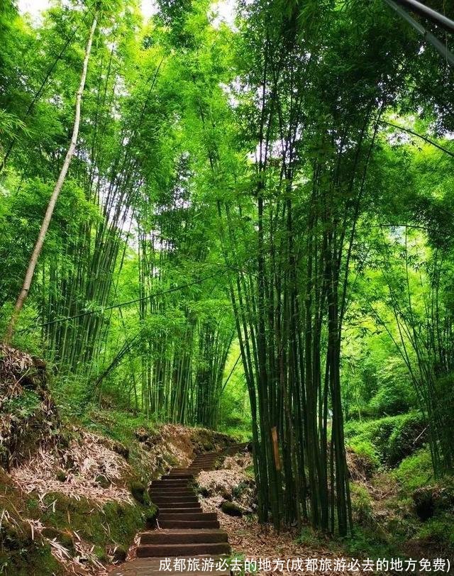 成都旅游必去的地方(成都旅游必去的地方免费)