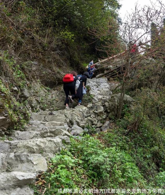 成都旅游必去的地方(成都旅游必去的地方免费)