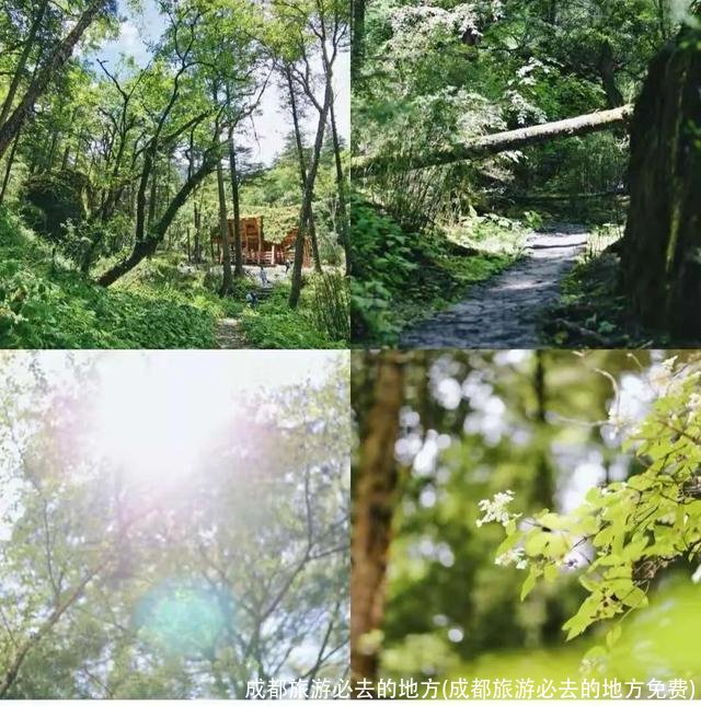 成都旅游必去的地方(成都旅游必去的地方免费)