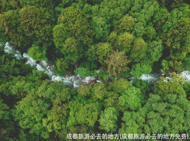 成都旅游必去的地方(成都旅游必去的地方免费)