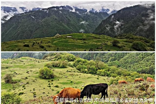 成都旅游必去的地方(成都旅游必去的地方免费)