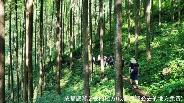 成都旅游必去的地方(成都旅游必去的地方免费)