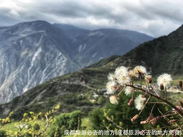 成都旅游必去的地方(成都旅游必去的地方免费)