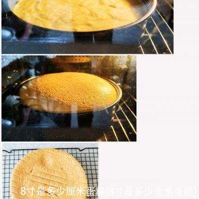 8寸是多少厘米蛋糕(8寸是多少厘米蛋糕)