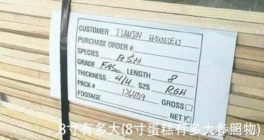 8寸有多大(8寸蛋糕有多大参照物)