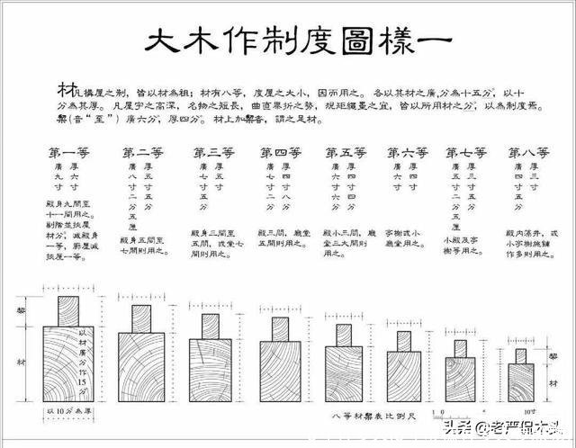 8寸有多大(8寸蛋糕有多大参照物)
