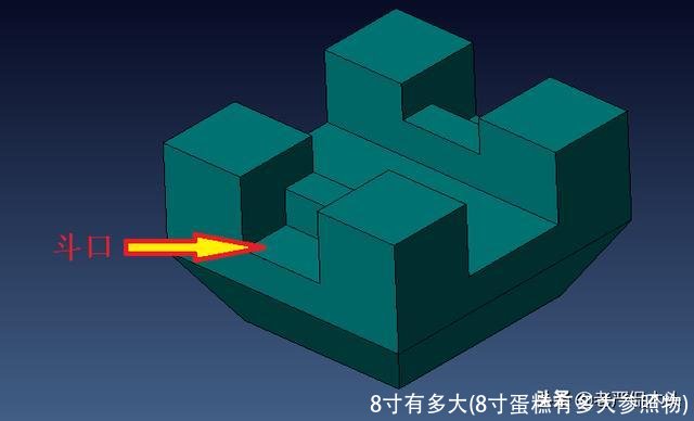 8寸有多大(8寸蛋糕有多大参照物)