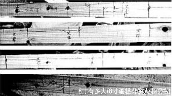 8寸有多大(8寸蛋糕有多大参照物)