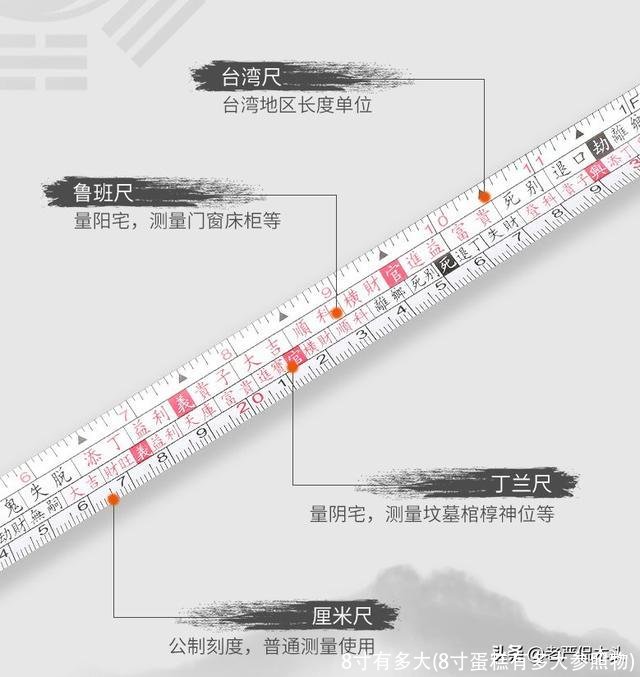 8寸有多大(8寸蛋糕有多大参照物)