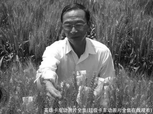 英雄卡车动画片全集(超级卡车动画片全集在线观看)