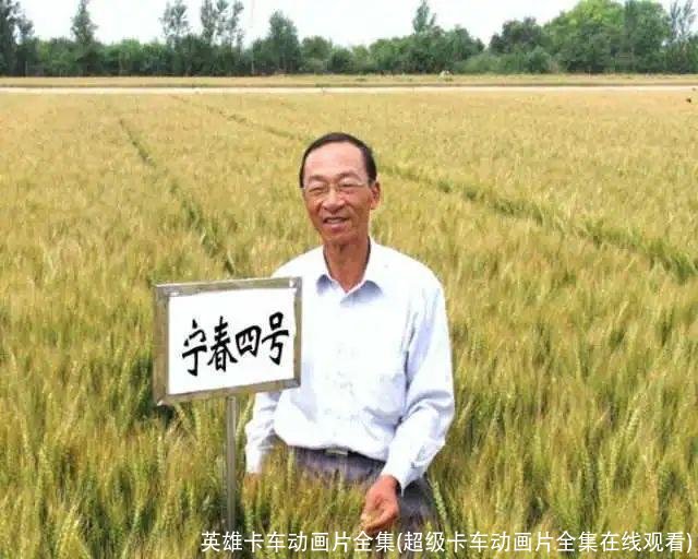 英雄卡车动画片全集(超级卡车动画片全集在线观看)